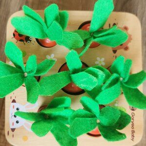 Goryeo Baby Carrot Puzzle Toy Preowned